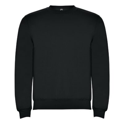 Реглан Clasica 280 ТМ Roly