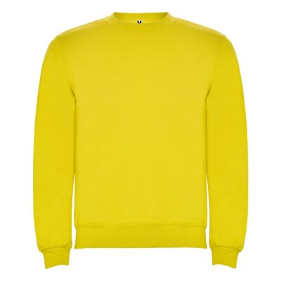 Реглан Clasica 280 ТМ Roly