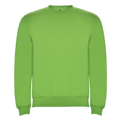 Реглан Clasica 280 ТМ Roly
